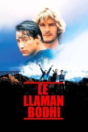 Poster de Le llaman Bodhi (1991) de Kathryn Bigelow