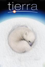 Poster de Tierra (2007) de Alastair Fothergill, Mark Linfield
