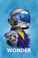 Poster de Wonder (2017) de Stephen Chbosky