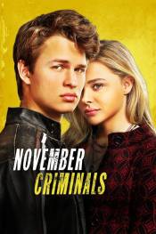 Poster de Los criminales de noviembre (2017) de Sacha Gervasi
