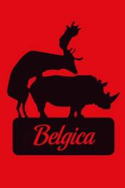 Poster de Bélgica (2016) de Felix van Groeningen