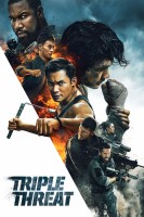 Poster de Triple amenaza (2019) de Jesse V. Johnson